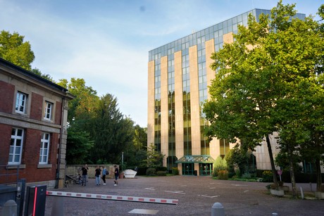 bilder