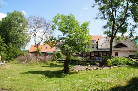 sagard