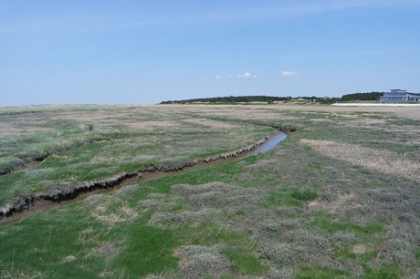 st-peter-ording