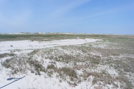 st-peter-ording