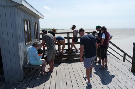 st-peter-ording