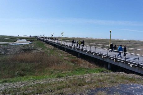 st-peter-ording