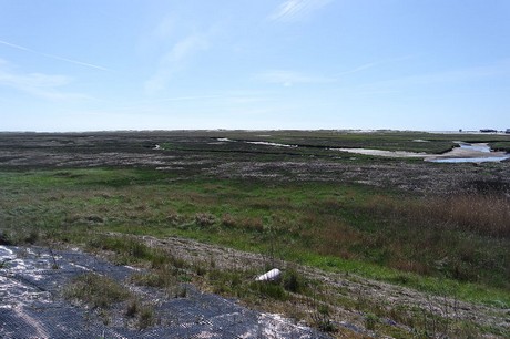 st-peter-ording
