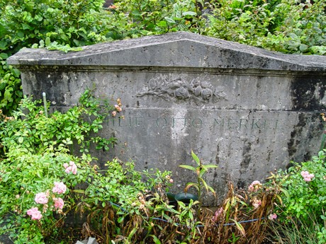 schlebusch