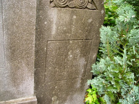 schlebusch