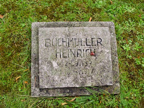 schlebusch