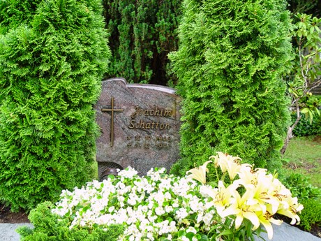 schlebusch