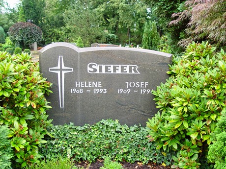 schlebusch