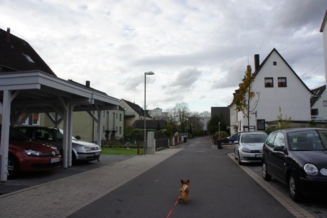 schlebusch
