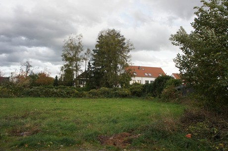 schlebusch