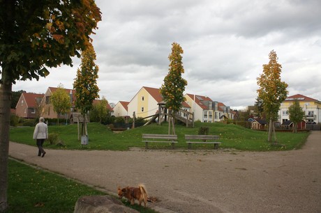 schlebusch