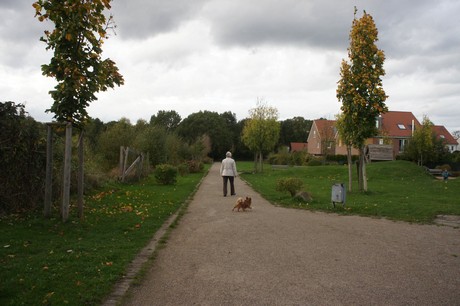 schlebusch