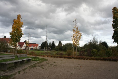schlebusch