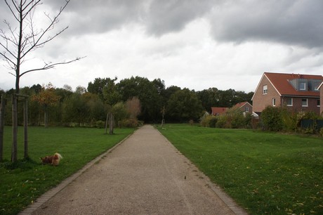 schlebusch