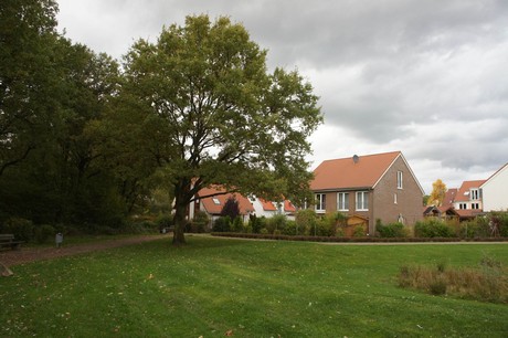 schlebusch