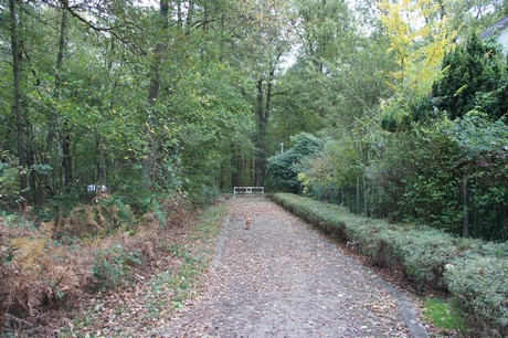 schlebusch