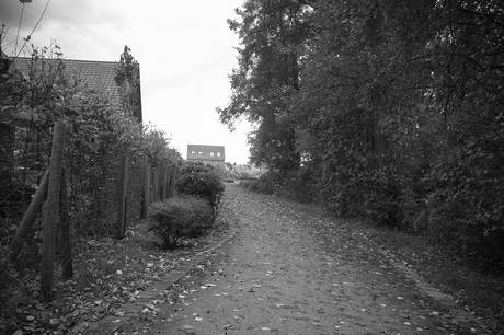 schlebusch