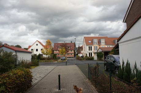 schlebusch