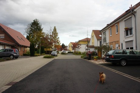 schlebusch