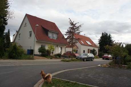 schlebusch