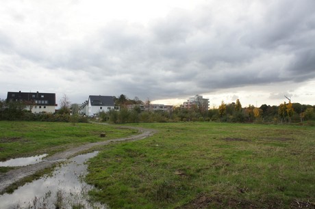 schlebusch