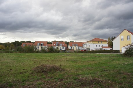 schlebusch