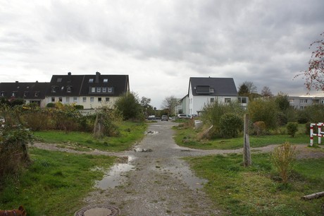 schlebusch