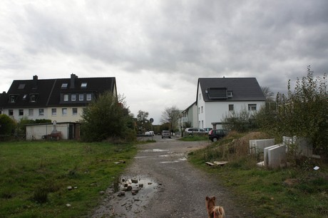 schlebusch