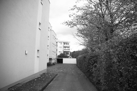 schlebusch