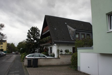 schlebusch