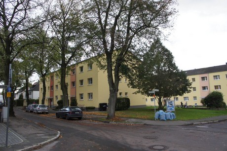 schlebusch