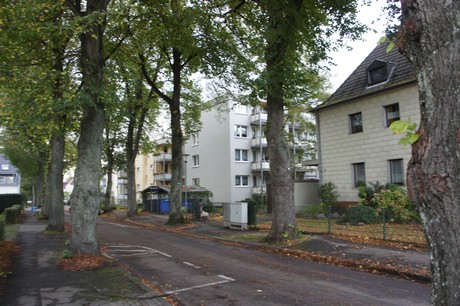 schlebusch