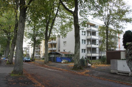 schlebusch