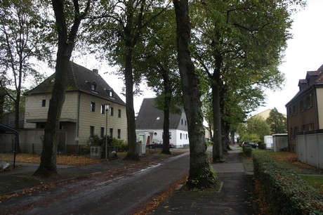 schlebusch