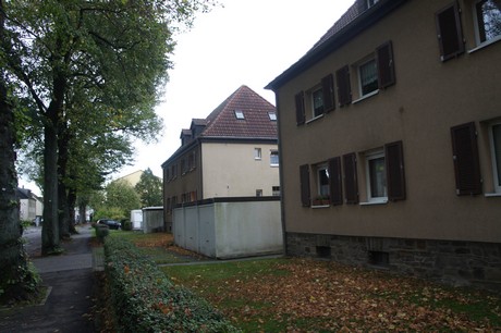 schlebusch