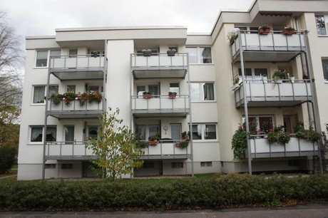 schlebusch