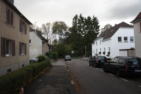 schlebusch