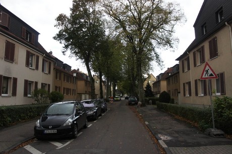 schlebusch