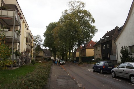 schlebusch