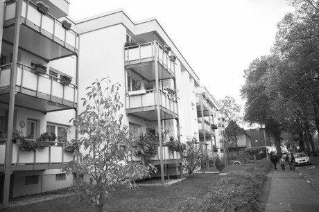 schlebusch