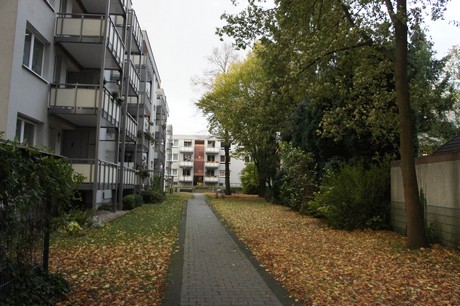 schlebusch