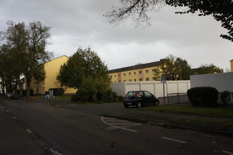 schlebusch