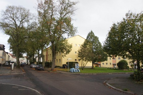 schlebusch