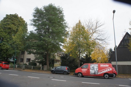 schlebusch