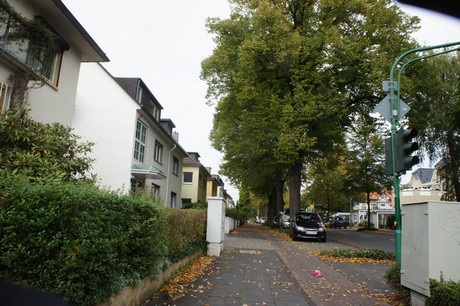 schlebusch