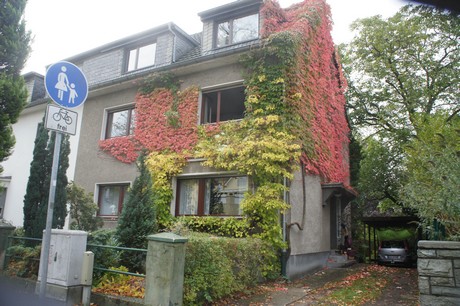 schlebusch