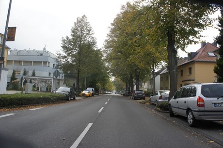 schlebusch