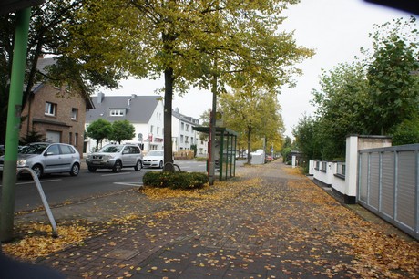schlebusch