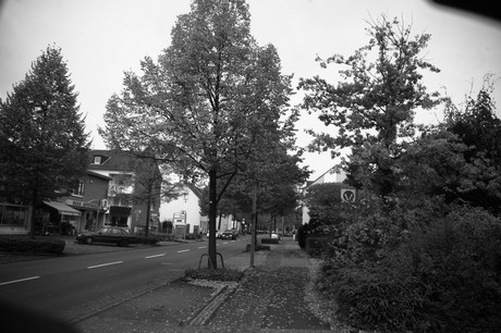 schlebusch