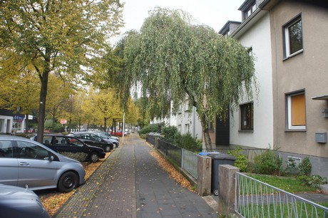 schlebusch